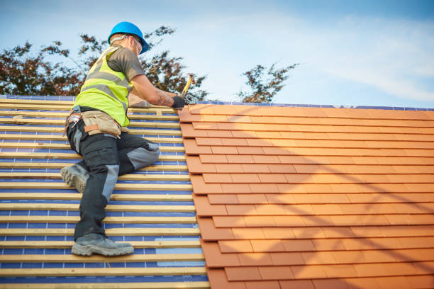 Best Skylight Installation and Repair  in Kearney, MO